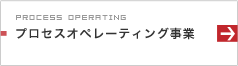 プロセスオペレーティング事業