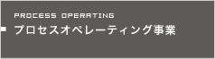 プロセスオペレーティング事業